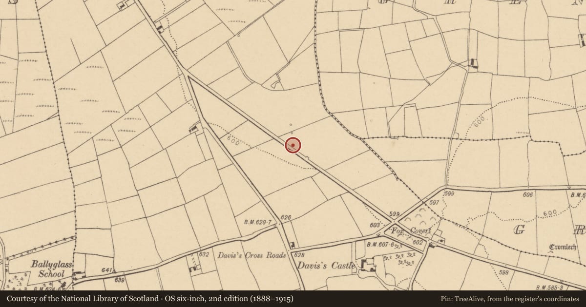 Ordnance Survey six-inch map, 2nd edition (1888–1915) covering the location of Burnt mound, Ballymorisheen, County Cork, with a pin at the register's coordinates