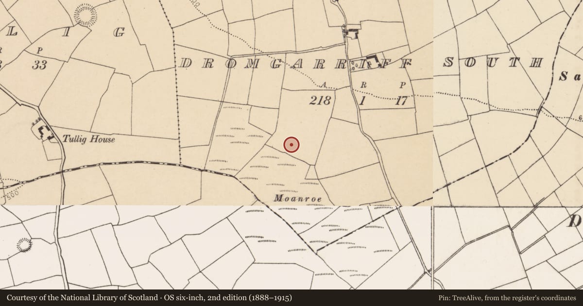 Ordnance Survey six-inch map, 2nd edition (1888–1915) covering the location of Pit, Dromgarriff South, County Cork, with a pin at the register's coordinates