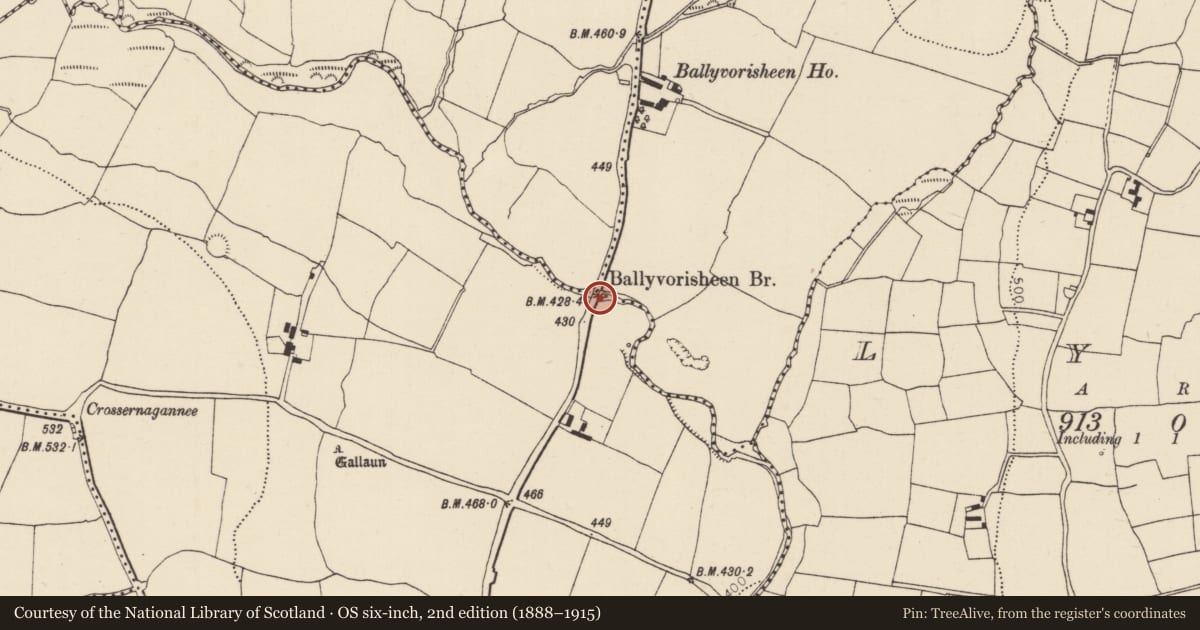 Ordnance Survey six-inch map, 2nd edition (1888–1915) covering the location of Bridge, County Cork, with a pin at the register's coordinates