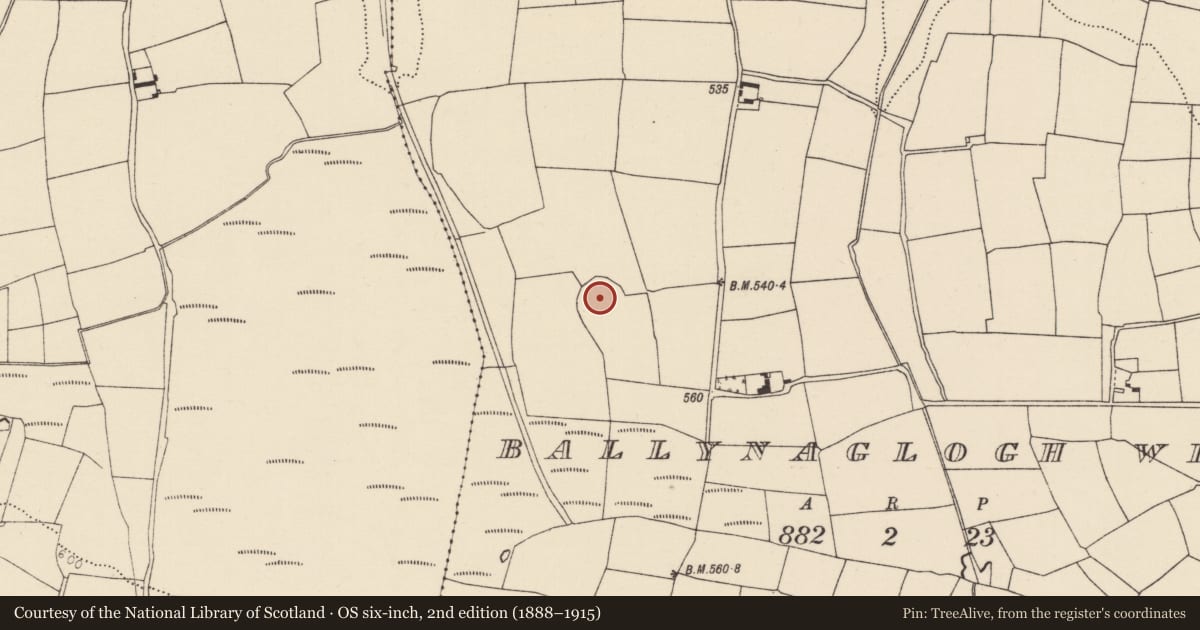 Ordnance Survey six-inch map, 2nd edition (1888–1915) covering the location of Enclosure, Ballynaglogh West, County Cork, with a pin at the register's coordinates