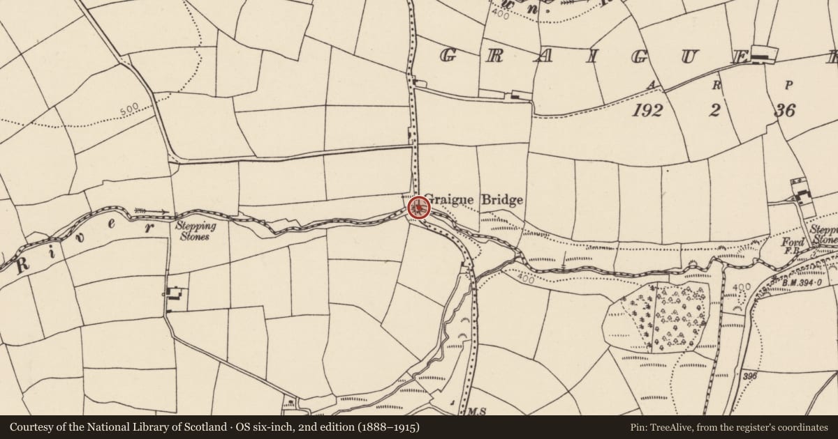 Ordnance Survey six-inch map, 2nd edition (1888–1915) covering the location of Bridge, County Cork, with a pin at the register's coordinates
