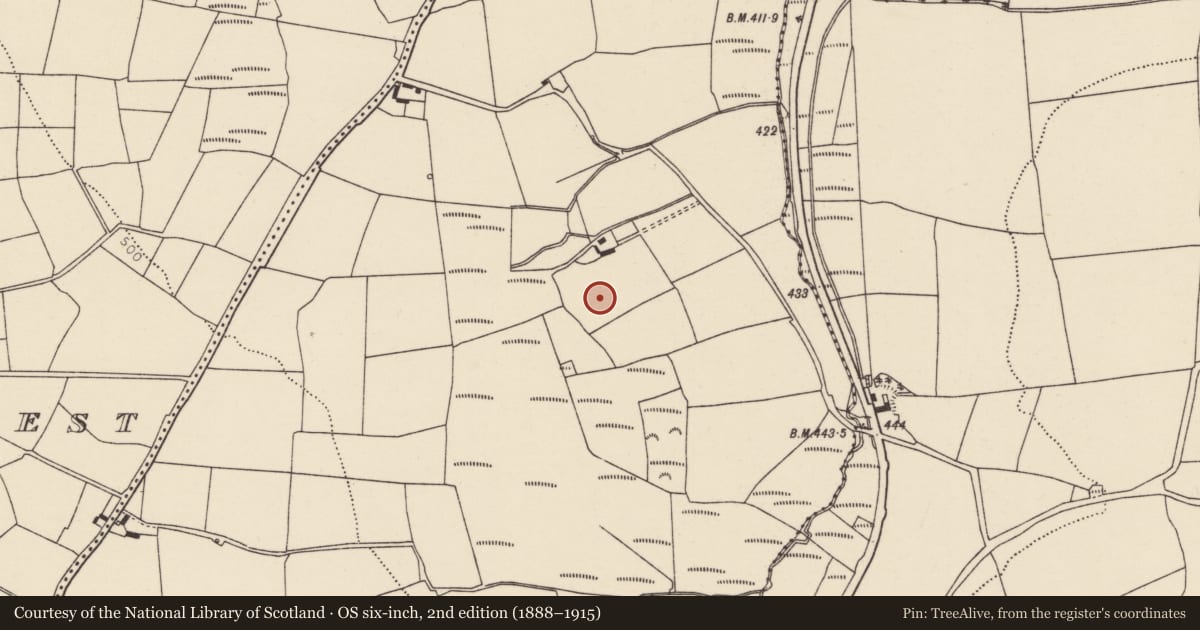 Ordnance Survey six-inch map, 2nd edition (1888–1915) covering the location of Enclosure, Ballynaglogh East, County Cork, with a pin at the register's coordinates