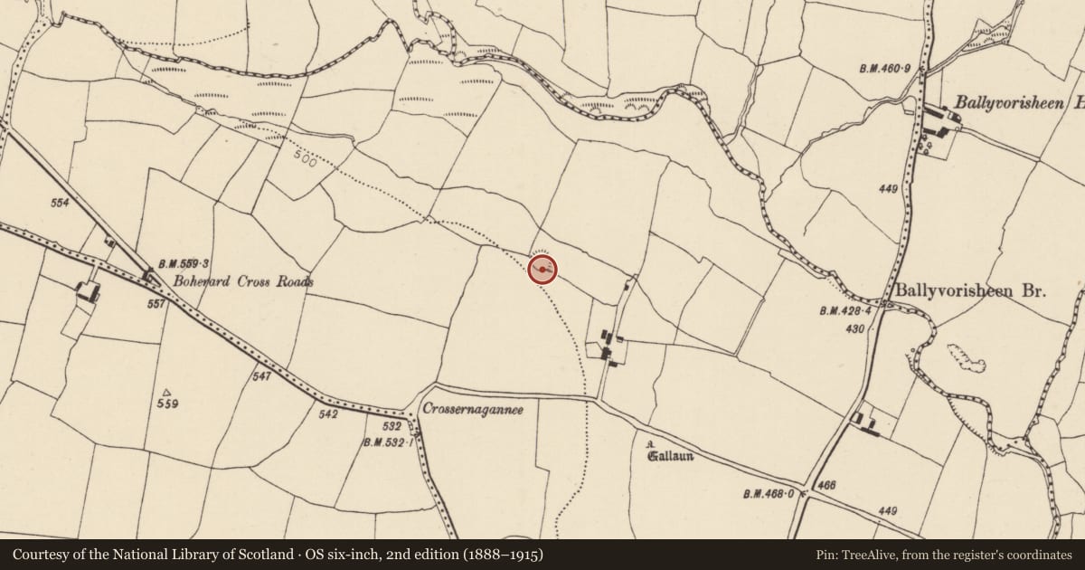 Ordnance Survey six-inch map, 2nd edition (1888–1915) covering the location of Ringfort - rath, Gormlee, County Cork, with a pin at the register's coordinates
