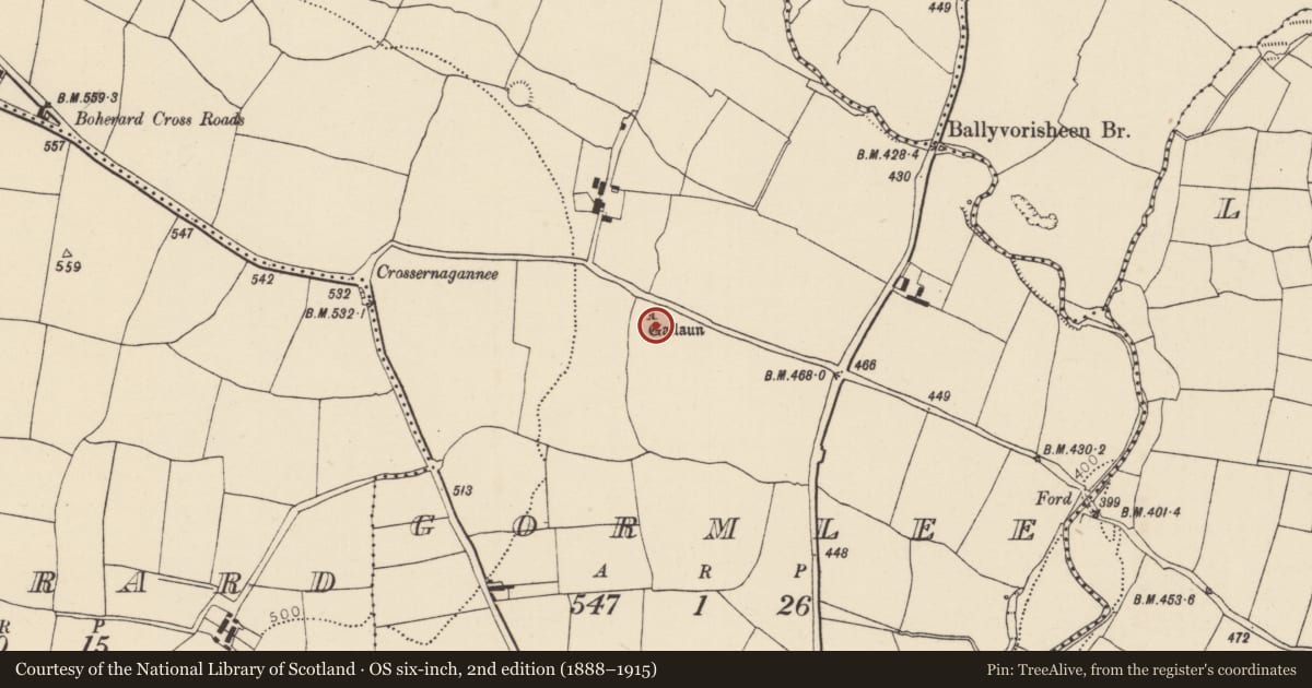 Ordnance Survey six-inch map, 2nd edition (1888–1915) covering the location of Standing stone, Gormlee, County Cork, with a pin at the register's coordinates