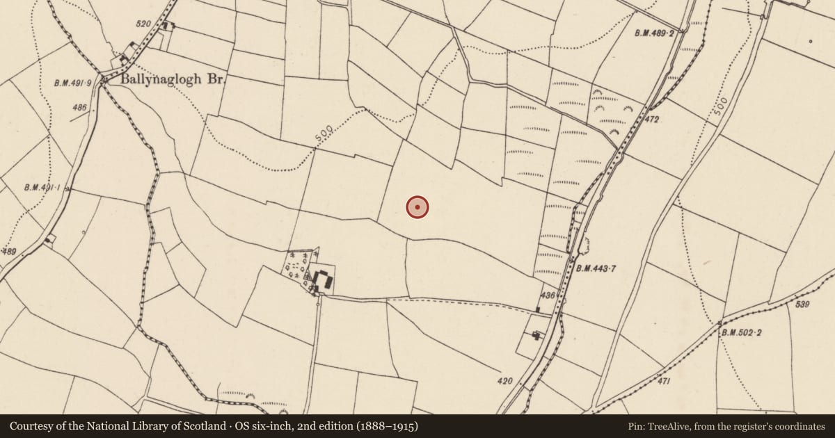 Ordnance Survey six-inch map, 2nd edition (1888–1915) covering the location of Standing stone, Ballynaglogh East, County Cork, with a pin at the register's coordinates
