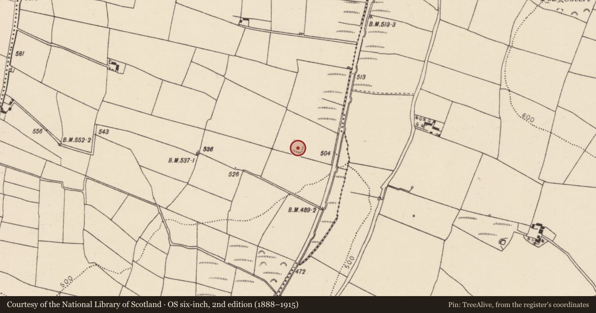 Ordnance Survey six-inch map, 2nd edition (1888–1915) covering the location of Moated site, Ballynaglogh East, County Cork, with a pin at the register's coordinates