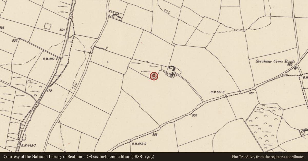 Ordnance Survey six-inch map, 2nd edition (1888–1915) covering the location of Earthwork, Ballybrack, County Cork, with a pin at the register's coordinates