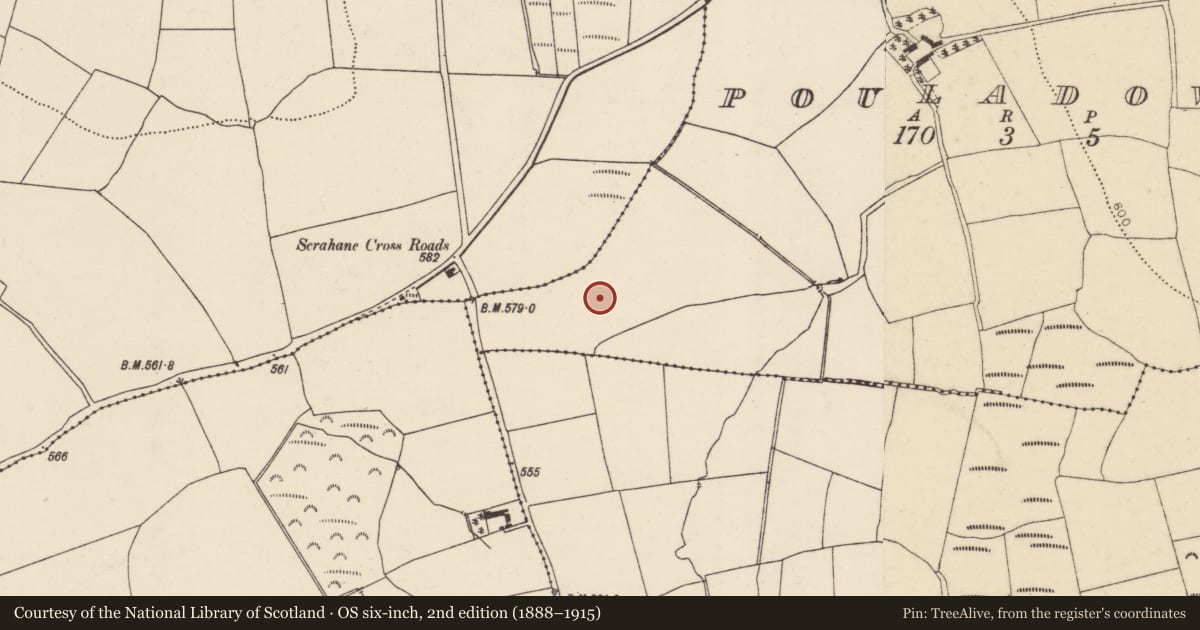 Ordnance Survey six-inch map, 2nd edition (1888–1915) covering the location of Ringfort - rath, Pouladown, County Cork, with a pin at the register's coordinates
