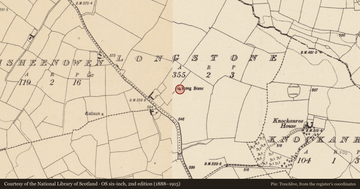 Ordnance Survey six-inch map, 2nd edition (1888–1915) covering the location of Ogham stone, Longstone, County Cork, with a pin at the register's coordinates