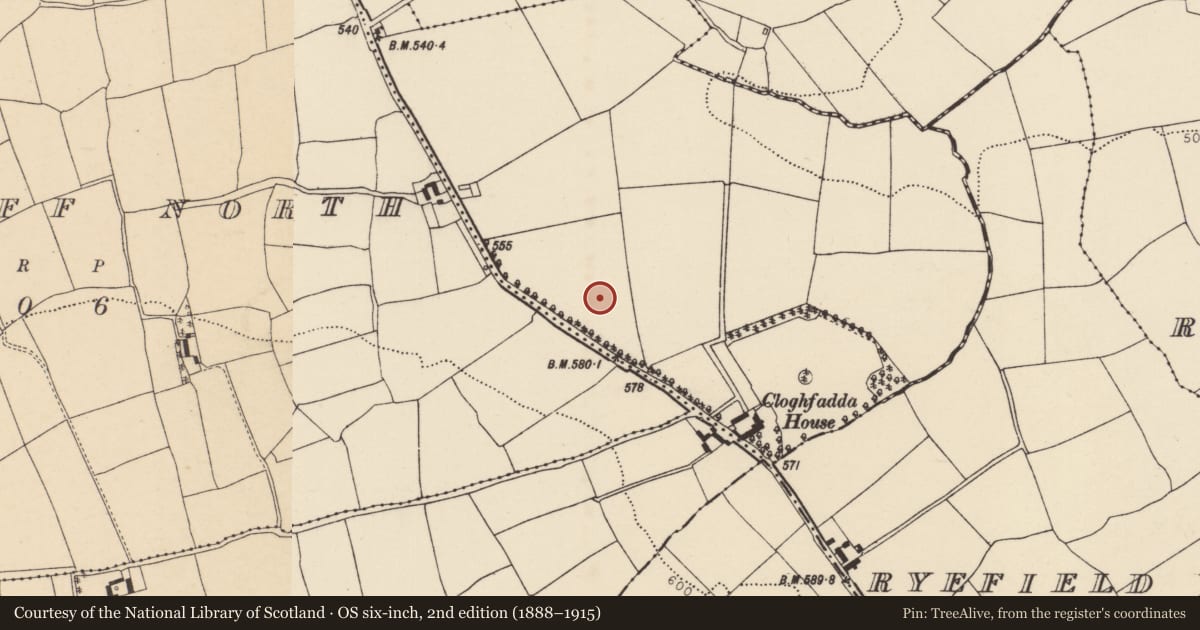 Ordnance Survey six-inch map, 2nd edition (1888–1915) covering the location of Standing stone, Longstone, County Cork, with a pin at the register's coordinates