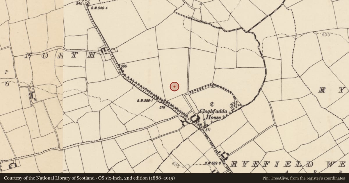 Ordnance Survey six-inch map, 2nd edition (1888–1915) covering the location of Standing stone, Longstone, County Cork, with a pin at the register's coordinates