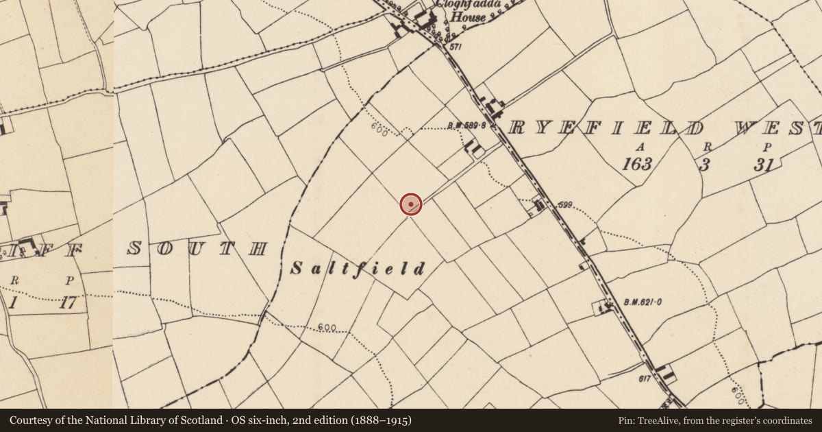 Ordnance Survey six-inch map, 2nd edition (1888–1915) covering the location of Ringfort - rath, Farranastig, County Cork, with a pin at the register's coordinates