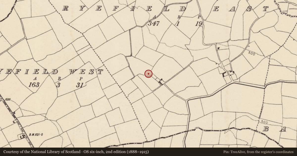 Ordnance Survey six-inch map, 2nd edition (1888–1915) covering the location of Ringfort - rath, Ryefield East, County Cork, with a pin at the register's coordinates