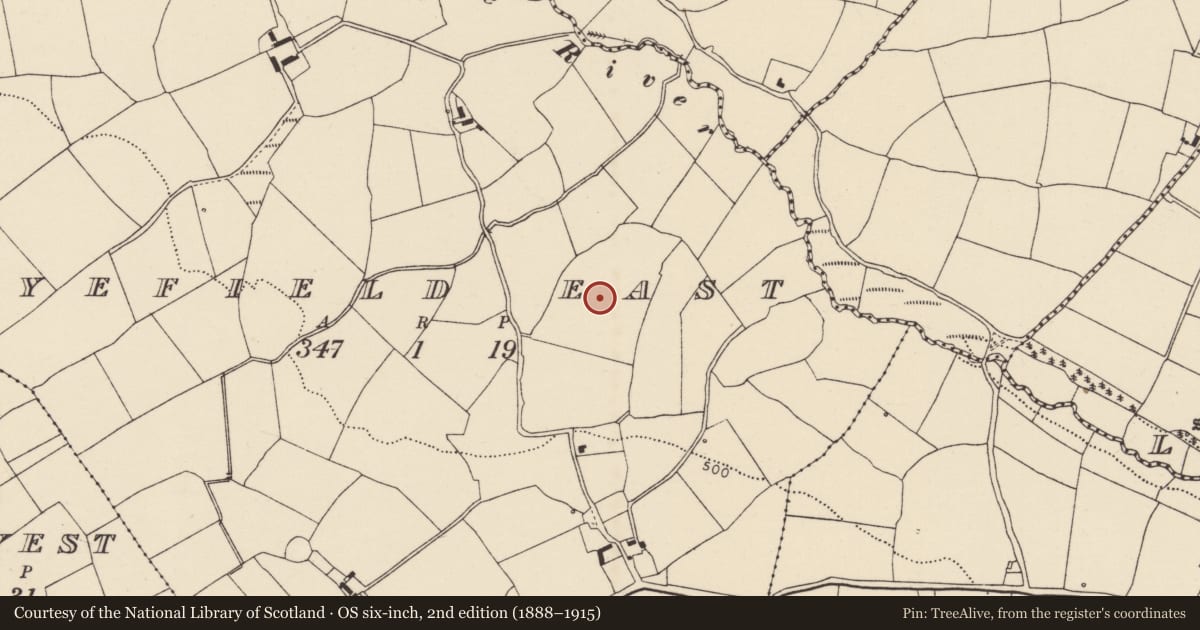 Ordnance Survey six-inch map, 2nd edition (1888–1915) covering the location of Megalithic tomb - wedge tomb, Ryefield East, County Cork, with a pin at the register's coordinates