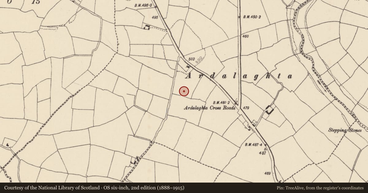 Ordnance Survey six-inch map, 2nd edition (1888–1915) covering the location of Standing stone, Gormlee, County Cork, with a pin at the register's coordinates