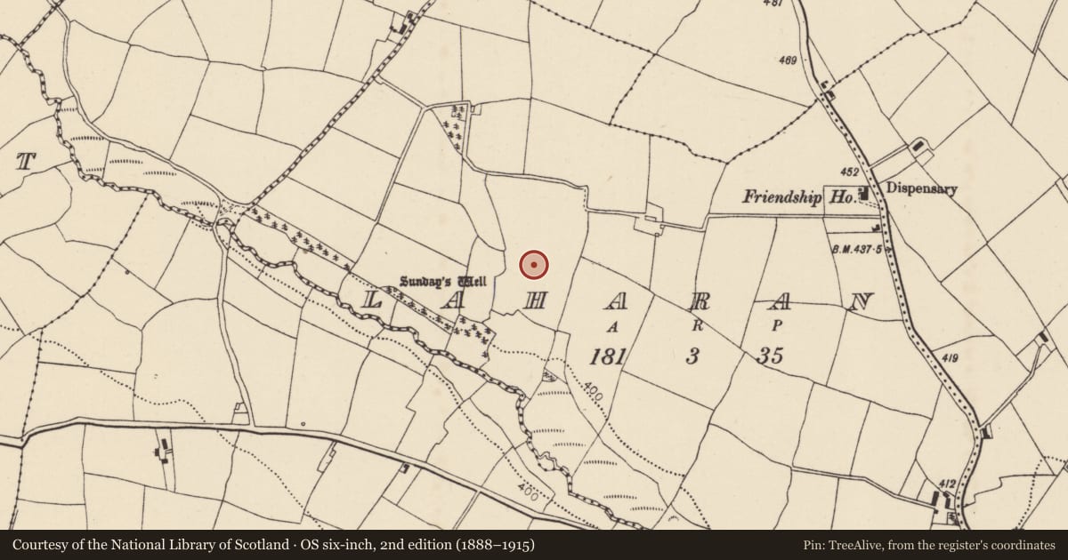 Ordnance Survey six-inch map, 2nd edition (1888–1915) covering the location of Enclosure, Laharan, County Cork, with a pin at the register's coordinates