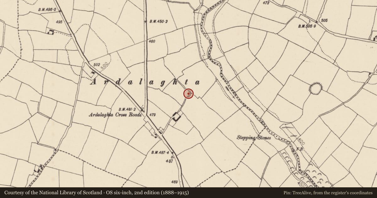 Ordnance Survey six-inch map, 2nd edition (1888–1915) covering the location of Souterrain, Gormlee, County Cork, with a pin at the register's coordinates