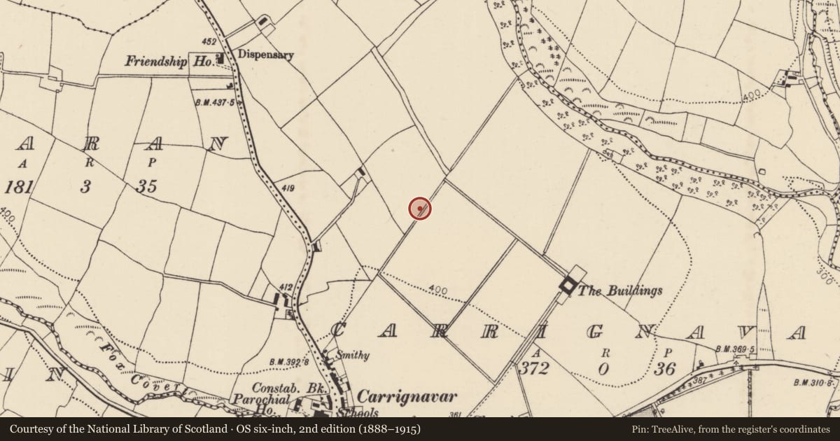 Ordnance Survey six-inch map, 2nd edition (1888–1915) covering the location of Ringfort - rath, Carrignavar, County Cork, with a pin at the register's coordinates