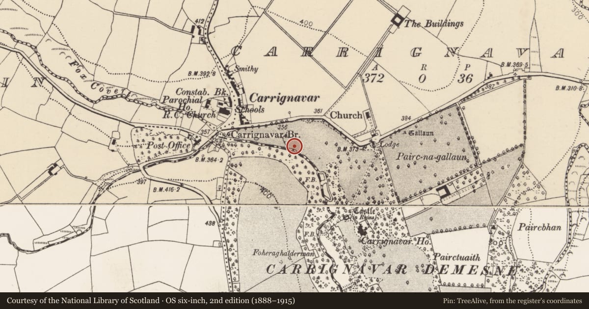 Ordnance Survey six-inch map, 2nd edition (1888–1915) covering the location of Standing stone, Carrignavar, County Cork, with a pin at the register's coordinates