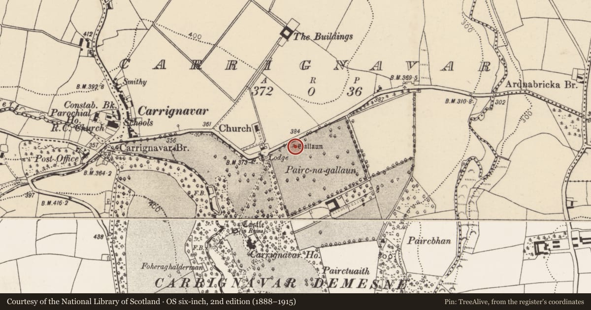 Ordnance Survey six-inch map, 2nd edition (1888–1915) covering the location of Standing stone, Carrignavar, County Cork, with a pin at the register's coordinates