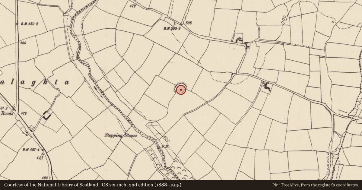 Ordnance Survey six-inch map, 2nd edition (1888–1915) covering the location of Ringfort - rath, Lyre, County Cork, with a pin at the register's coordinates