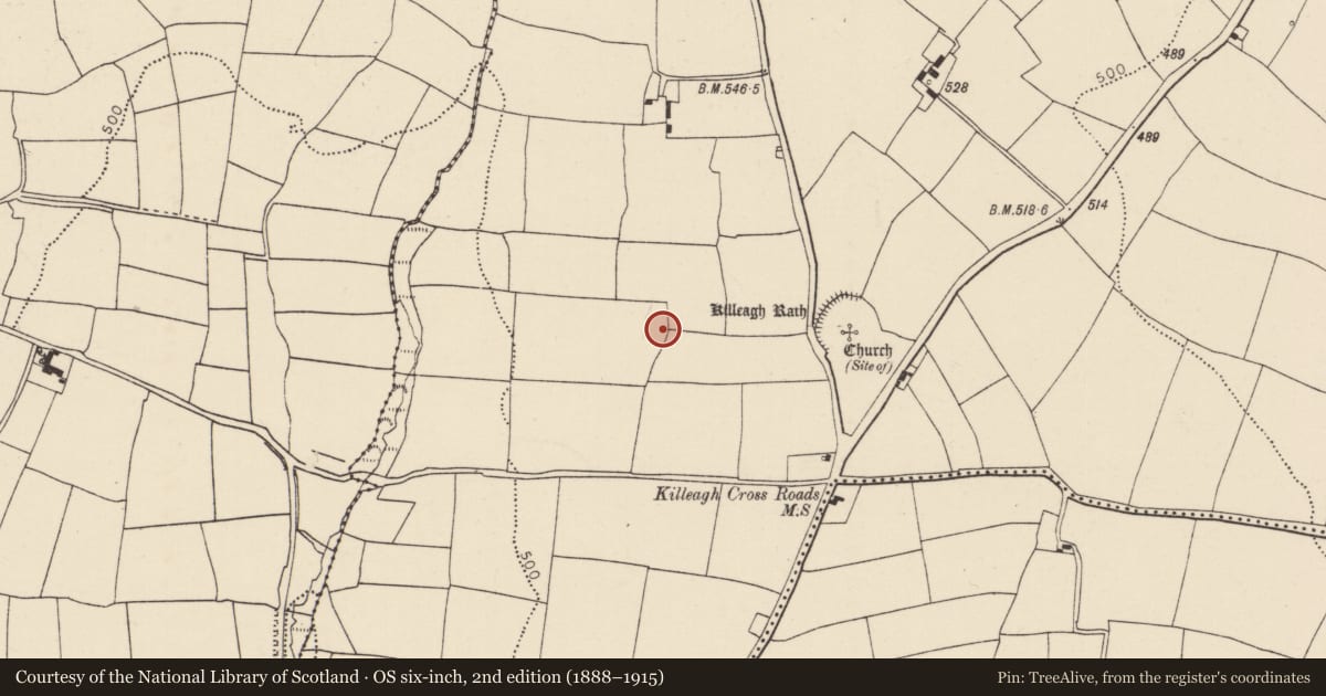 Ordnance Survey six-inch map, 2nd edition (1888–1915) covering the location of Enclosure, Ballynabortagh, County Cork, with a pin at the register's coordinates