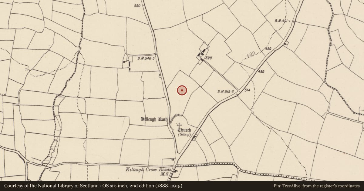 Ordnance Survey six-inch map, 2nd edition (1888–1915) covering the location of Standing stone, Ballynabortagh, County Cork, with a pin at the register's coordinates