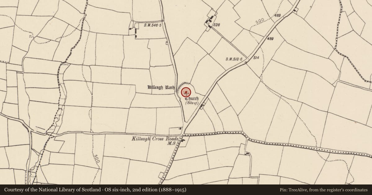 Ordnance Survey six-inch map, 2nd edition (1888–1915) covering the location of Ecclesiastical enclosure, Ballynabortagh, County Cork, with a pin at the register's coordinates