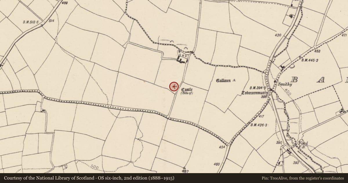Ordnance Survey six-inch map, 2nd edition (1888–1915) covering the location of Castle - unclassified, Ballynabortagh, County Cork, with a pin at the register's coordinates