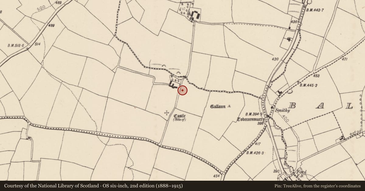 Ordnance Survey six-inch map, 2nd edition (1888–1915) covering the location of Enclosure, Ballynabortagh, County Cork, with a pin at the register's coordinates