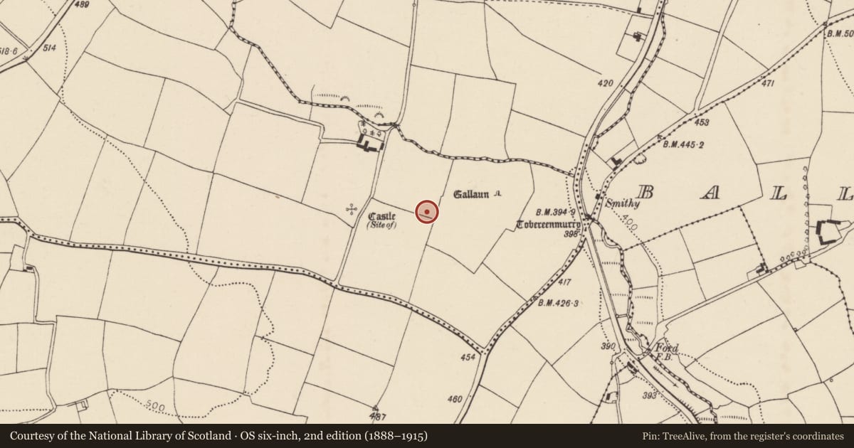 Ordnance Survey six-inch map, 2nd edition (1888–1915) covering the location of Souterrain, Ballynabortagh, County Cork, with a pin at the register's coordinates