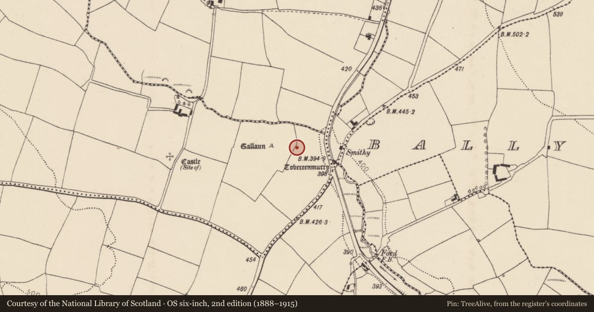 Ordnance Survey six-inch map, 2nd edition (1888–1915) covering the location of Anomalous stone group, Ballynabortagh, County Cork, with a pin at the register's coordinates