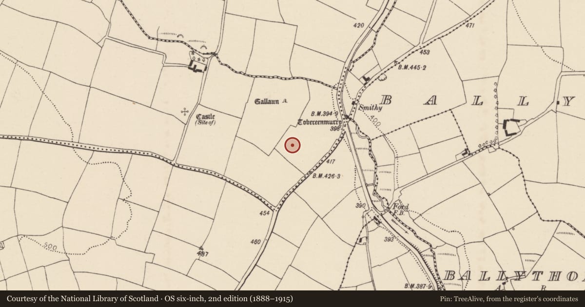 Ordnance Survey six-inch map, 2nd edition (1888–1915) covering the location of Souterrain, Ballynabortagh, County Cork, with a pin at the register's coordinates