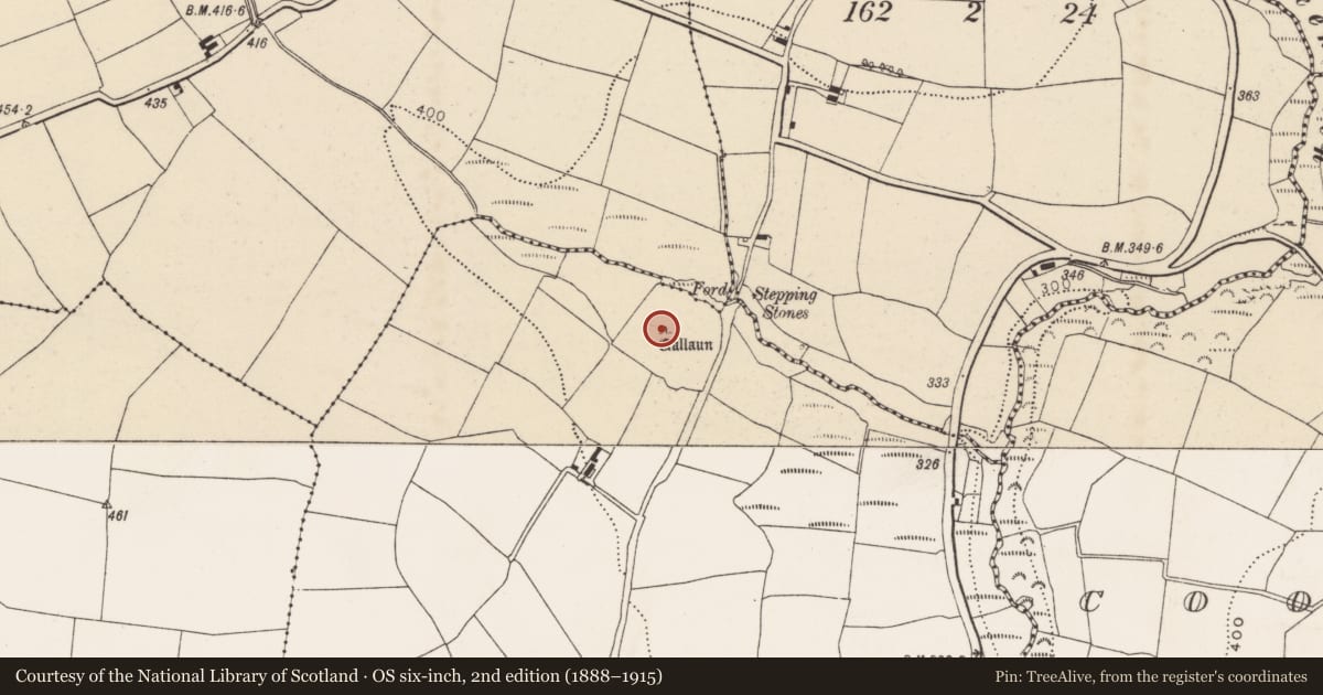 Ordnance Survey six-inch map, 2nd edition (1888–1915) covering the location of Standing stone, Templemichael, County Cork, with a pin at the register's coordinates