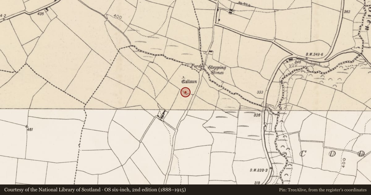 Ordnance Survey six-inch map, 2nd edition (1888–1915) covering the location of Ringfort - rath, Templemichael, County Cork, with a pin at the register's coordinates