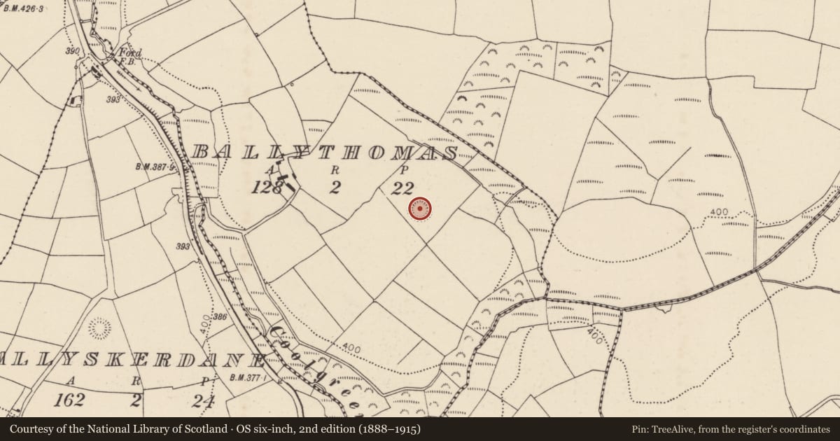 Ordnance Survey six-inch map, 2nd edition (1888–1915) covering the location of Ringfort - rath, Ballythomas, County Cork, with a pin at the register's coordinates