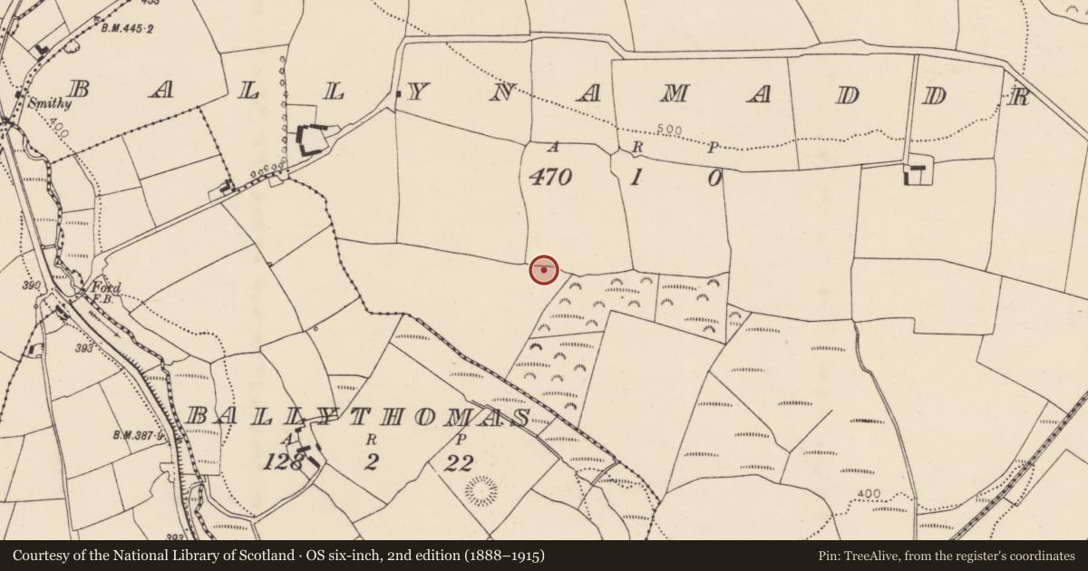 Ordnance Survey six-inch map, 2nd edition (1888–1915) covering the location of Fulacht fia, Ballynamaddree, County Cork, with a pin at the register's coordinates