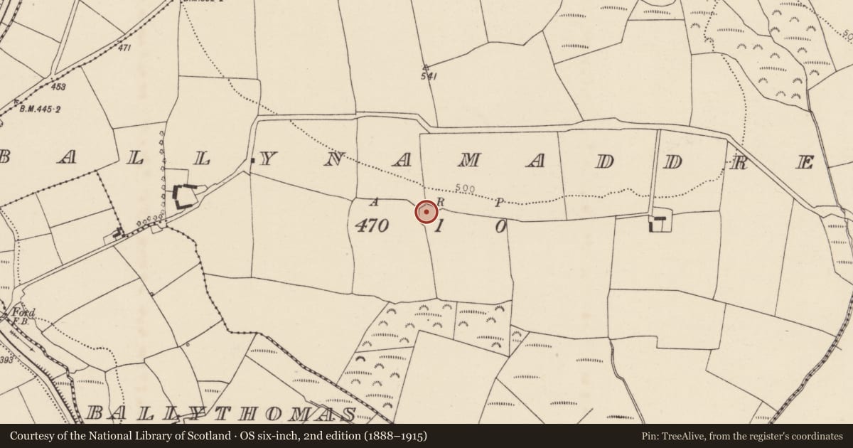 Ordnance Survey six-inch map, 2nd edition (1888–1915) covering the location of Ringfort - rath, Ballynamaddree, County Cork, with a pin at the register's coordinates