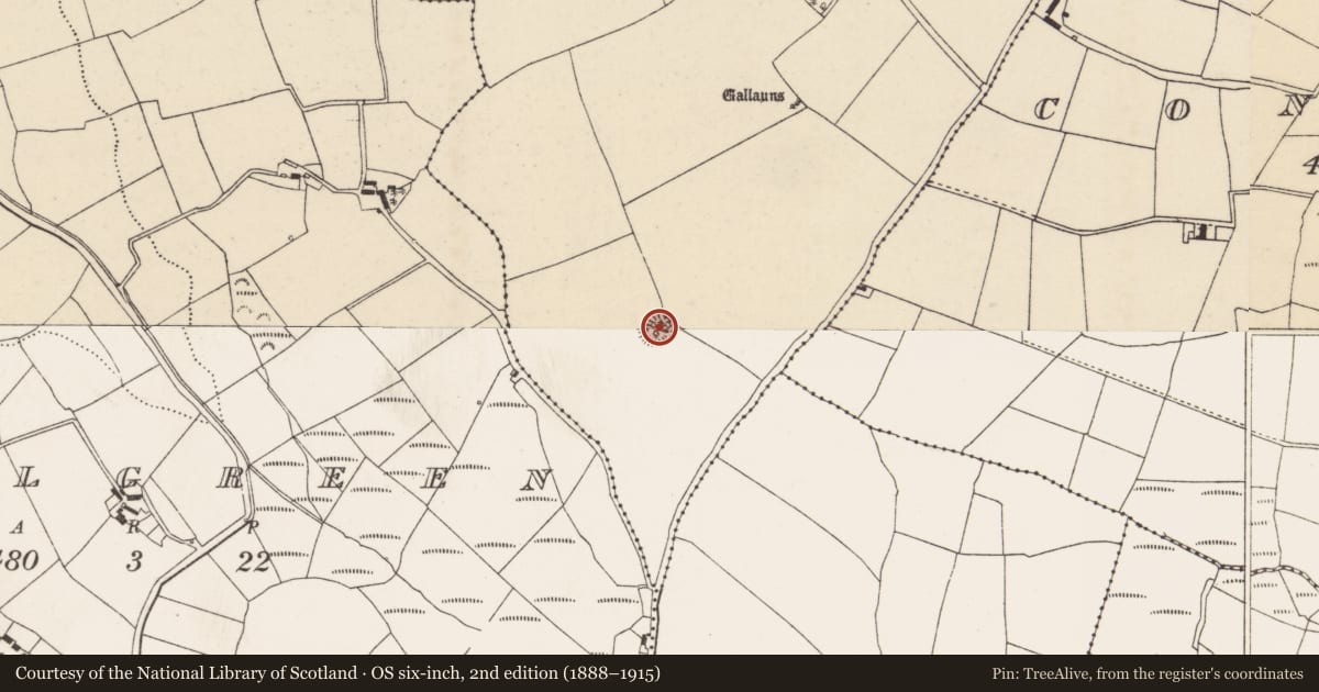 Ordnance Survey six-inch map, 2nd edition (1888–1915) covering the location of Ringfort - rath, Ballindeenisk, County Cork, with a pin at the register's coordinates