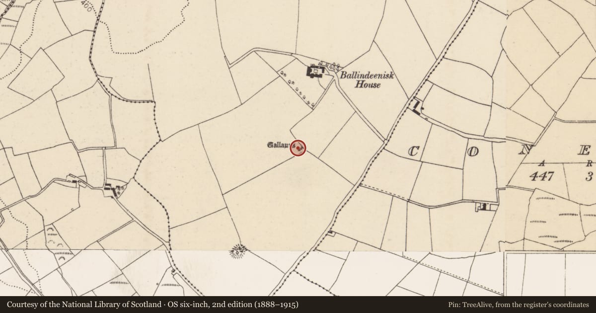 Ordnance Survey six-inch map, 2nd edition (1888–1915) covering the location of Stone row, Ballindeenisk, County Cork, with a pin at the register's coordinates