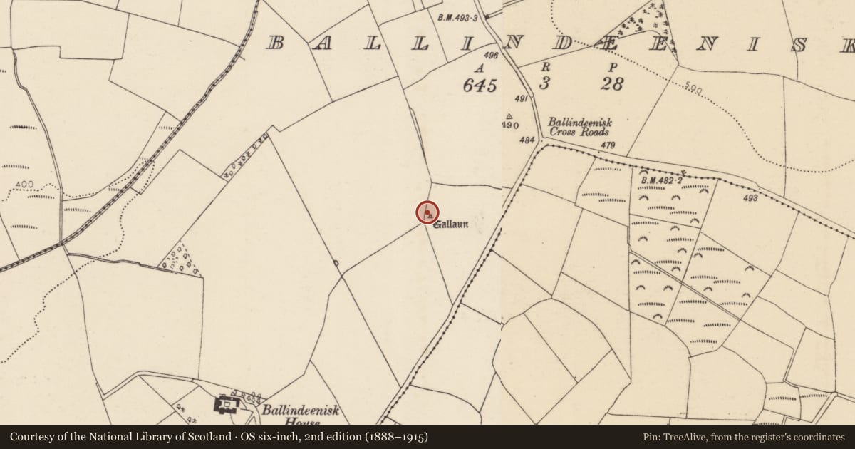 Ordnance Survey six-inch map, 2nd edition (1888–1915) covering the location of Standing stone, Ballindeenisk, County Cork, with a pin at the register's coordinates