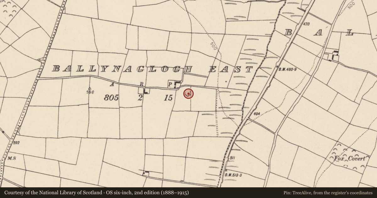 Ordnance Survey six-inch map, 2nd edition (1888–1915) covering the location of Ringfort - rath, Ballynaglogh East, County Cork, with a pin at the register's coordinates