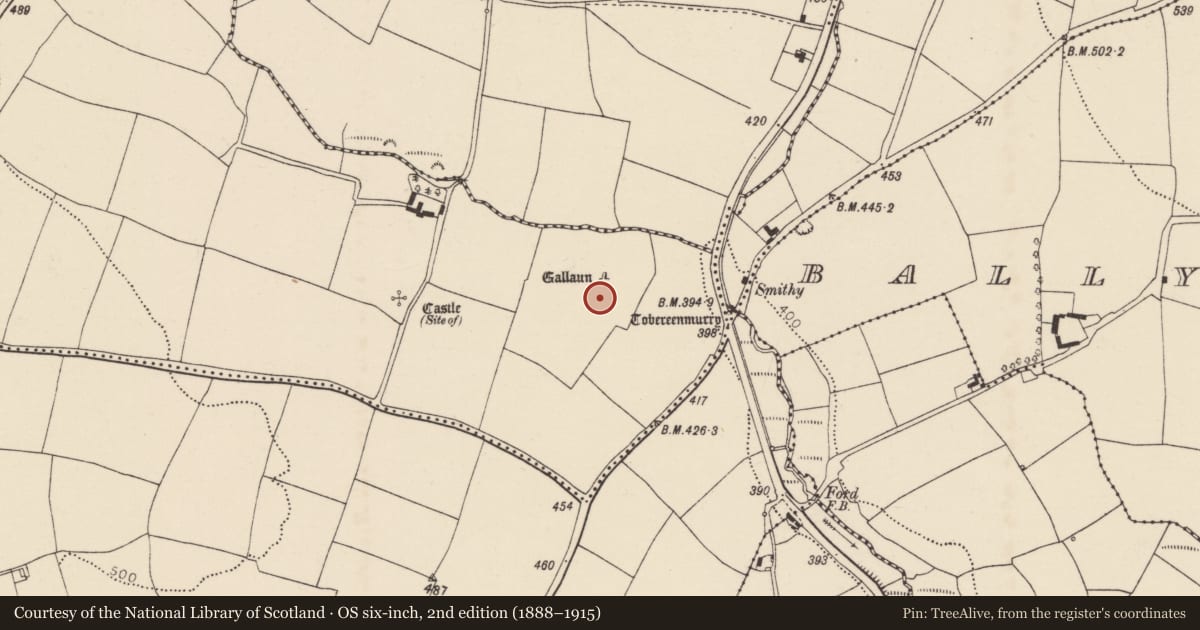 Ordnance Survey six-inch map, 2nd edition (1888–1915) covering the location of Ogham stone, Ballynabortagh, County Cork, with a pin at the register's coordinates