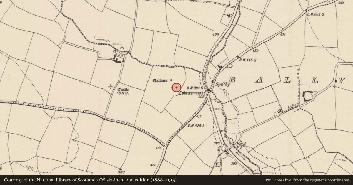 Ordnance Survey six-inch map, 2nd edition (1888–1915) covering the location of Souterrain, Ballynabortagh, County Cork, with a pin at the register's coordinates