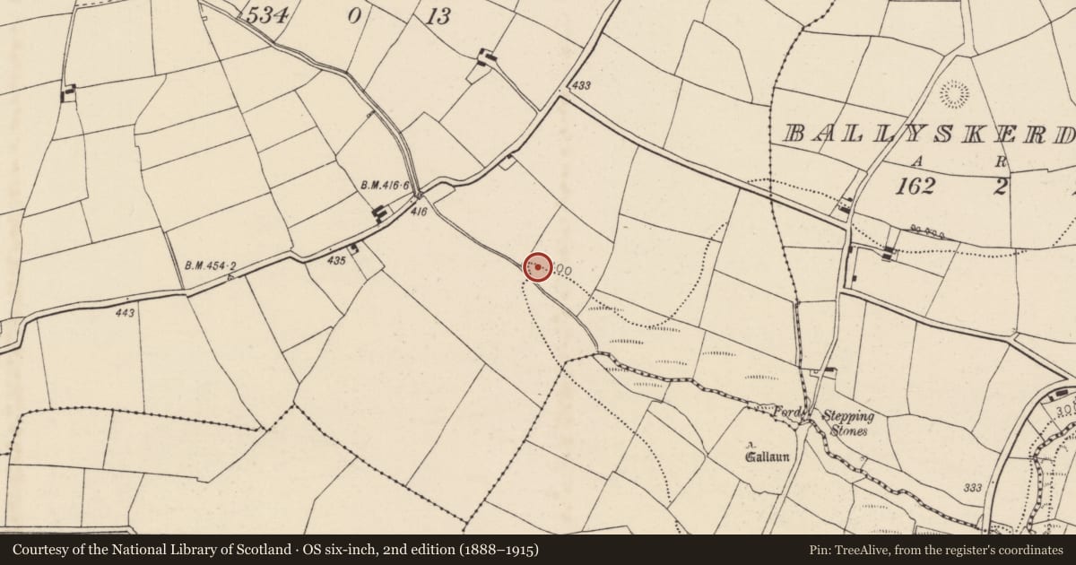 Ordnance Survey six-inch map, 2nd edition (1888–1915) covering the location of Fulacht fia, Knockboy, County Cork, with a pin at the register's coordinates