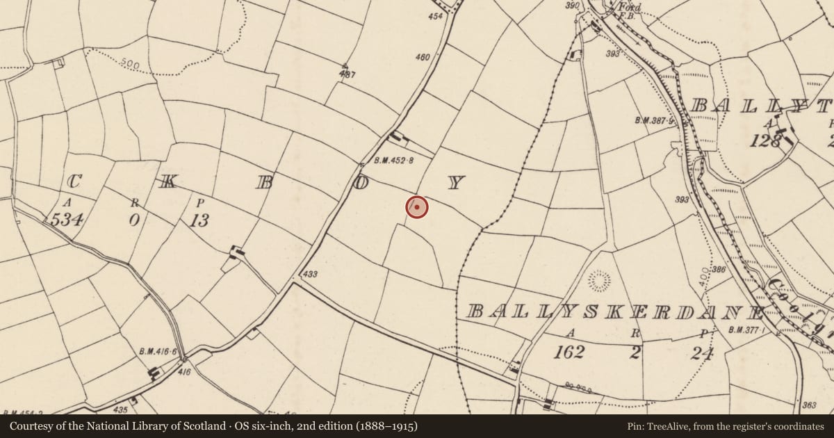 Ordnance Survey six-inch map, 2nd edition (1888–1915) covering the location of Fulacht fia, Knockboy, County Cork, with a pin at the register's coordinates