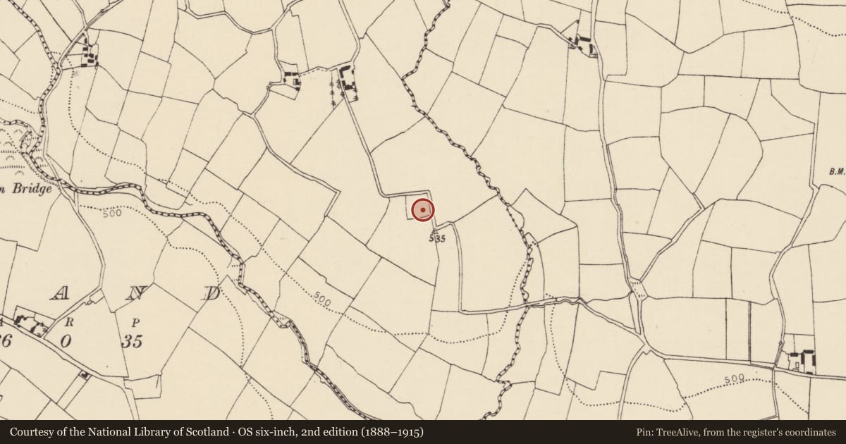 Ordnance Survey six-inch map, 2nd edition (1888–1915) covering the location of Moated site, Glashaboy East, County Cork, with a pin at the register's coordinates