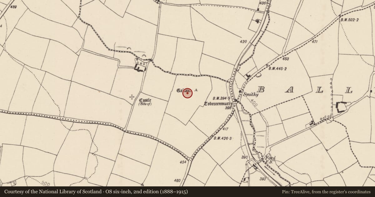 Ordnance Survey six-inch map, 2nd edition (1888–1915) covering the location of Ogham stone, Ballynabortagh, County Cork, with a pin at the register's coordinates