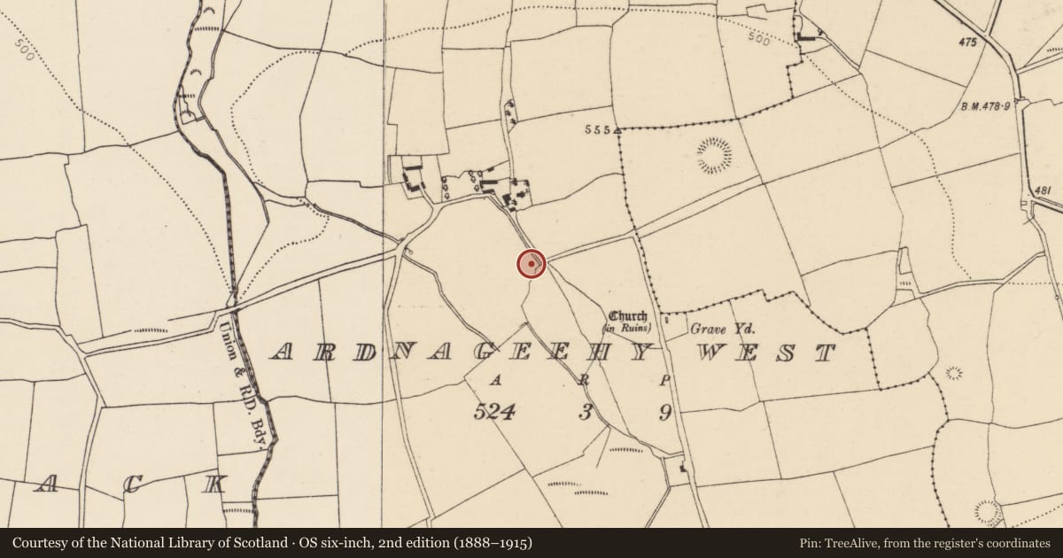 Ordnance Survey six-inch map, 2nd edition (1888–1915) covering the location of Ringfort - rath, Ardnageehy West, County Cork, with a pin at the register's coordinates