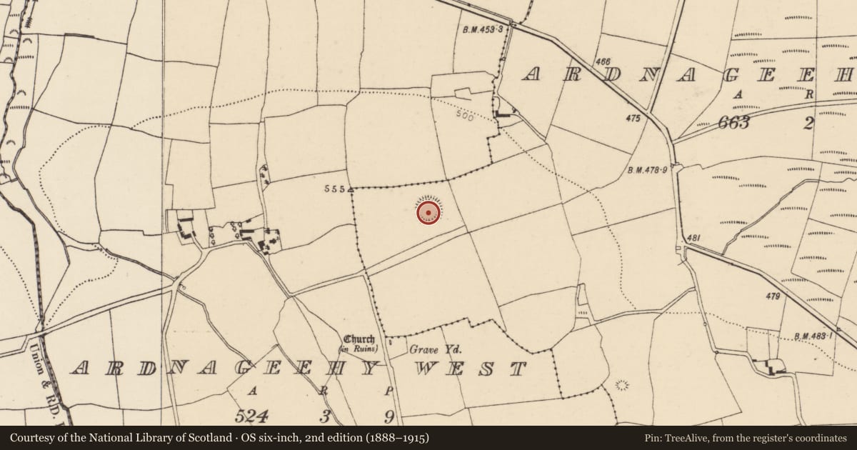Ordnance Survey six-inch map, 2nd edition (1888–1915) covering the location of Ringfort - rath, Ardnageehy East, County Cork, with a pin at the register's coordinates